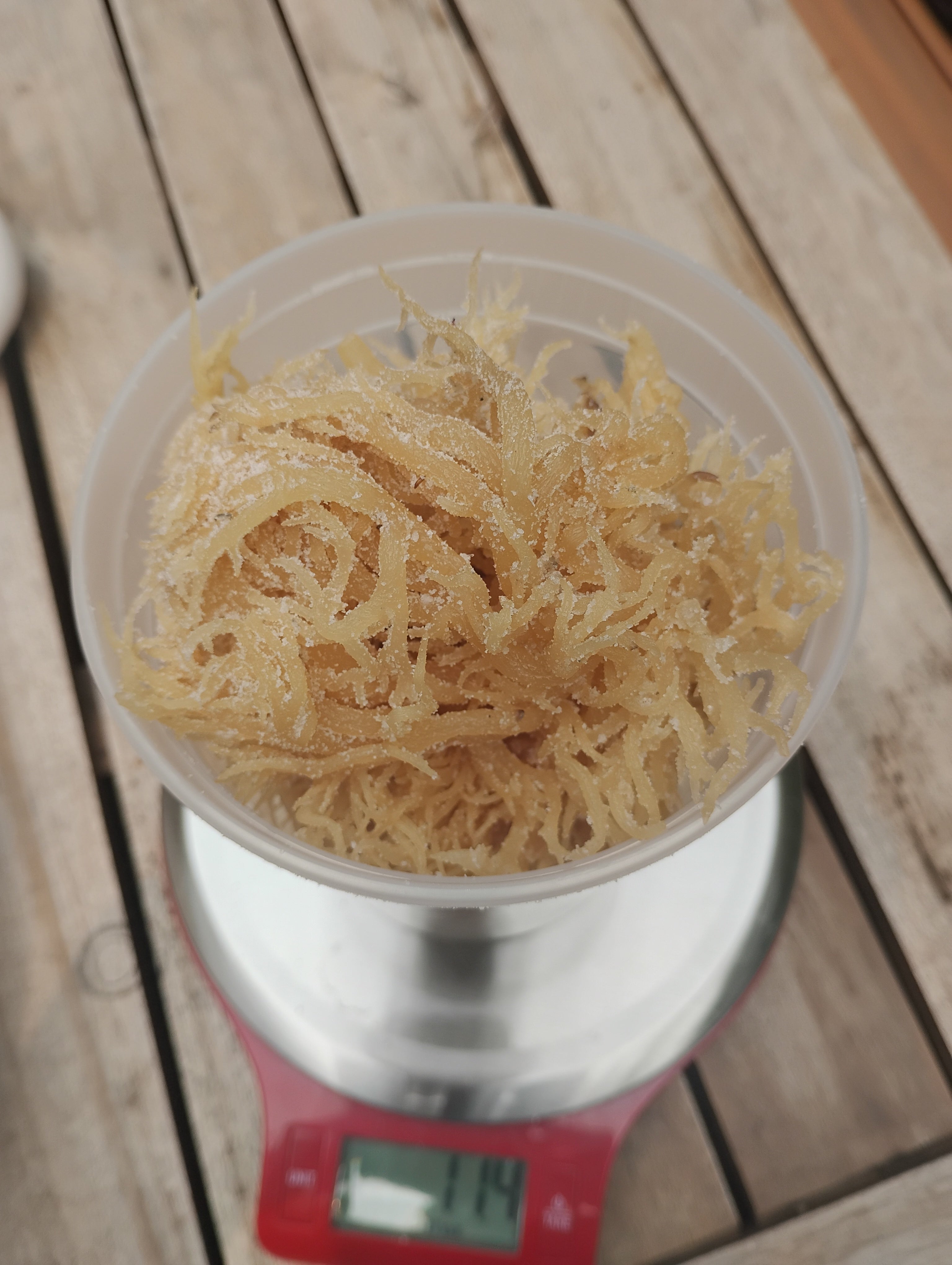 SEAMAN JENKINS zraw Sea Moss 
